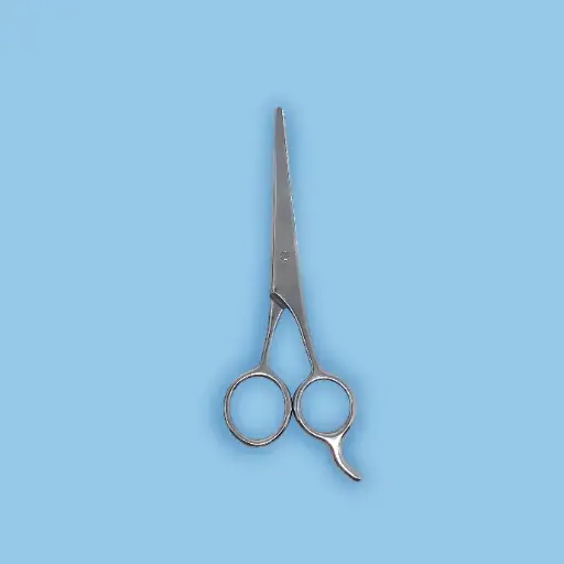 [4BM00119] Ciseaux de précision 